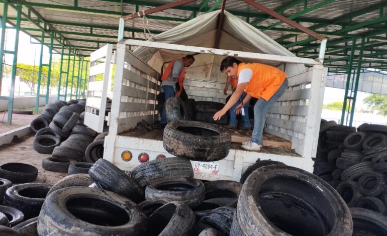 Para combatir el dengue, impulsa Evelyn Salgado llantatón en la región Norte