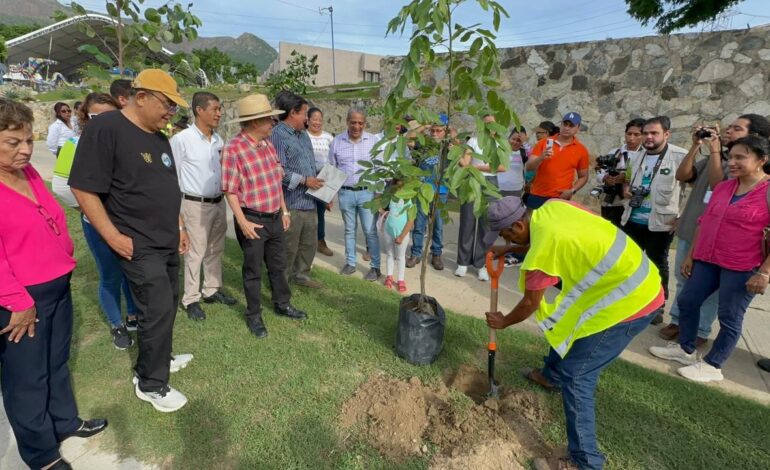 Evelyn Salgado impulsa acciones de atención al Medio Ambiente, con la Campaña de Reforestación en Acapulco