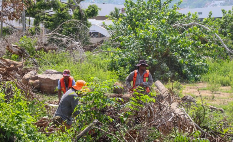 Refuerza Evelyn Salgado acciones de limpieza y saneamiento en Centro de Convenciones Acapulco
