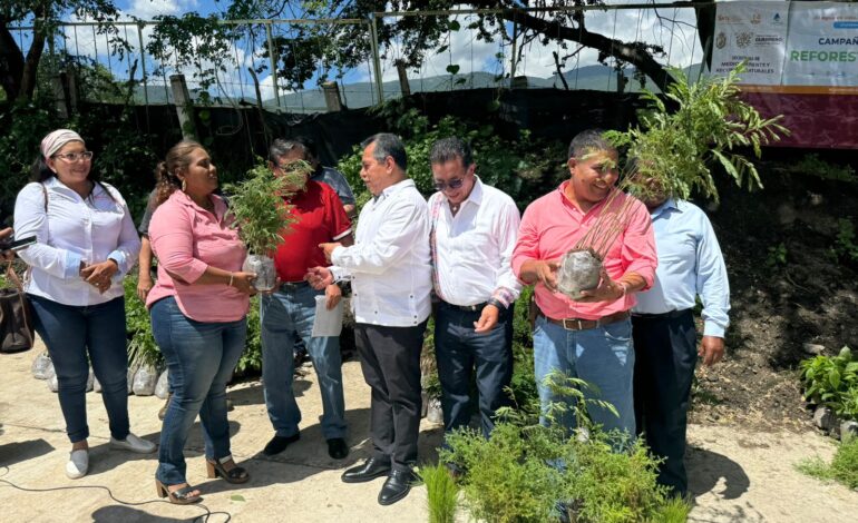 Refuerza Evelyn Salgado acciones de reforestación en el estado con la donación de 15 mil plantas al SNTE y comunidades