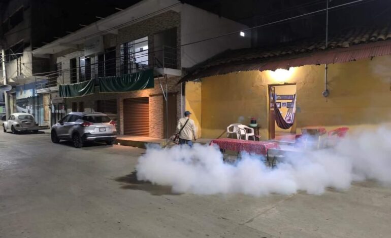 Reitera Evelyn Salgado, apoyo al combate al dengue en la Costa Grande