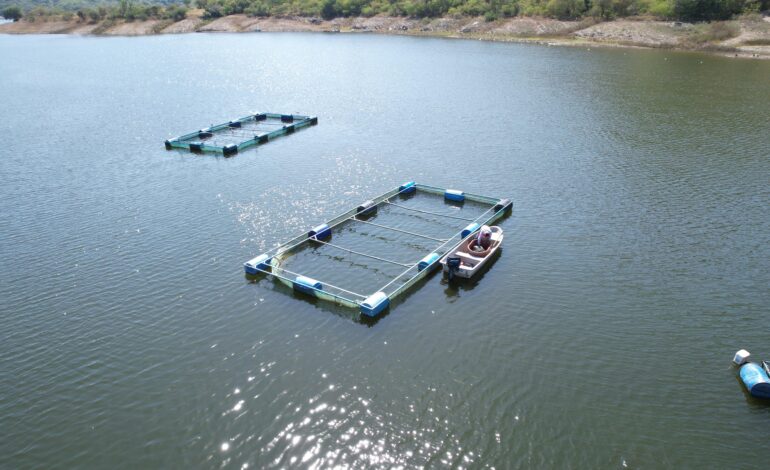 Ponen en marcha Minera Media Luna y pescadores del Balsas la primera planta de procesamiento de pez diablo en Guerrero