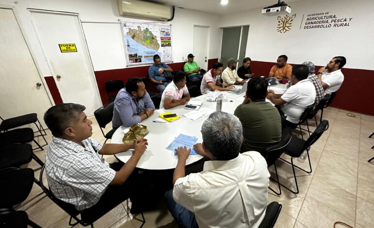 Revisa gobierno de Guerrero avances de los trabajos emprendidos tras el paso del huracán John