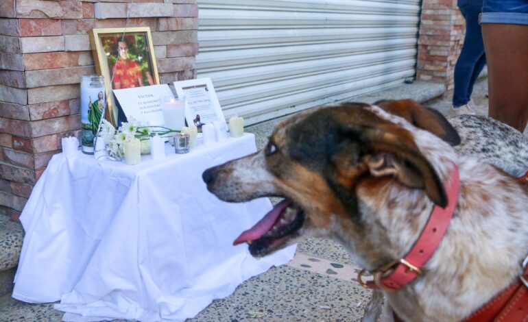 En honra fúnebre de médico veterinario claman al Estado garantizar la seguridad en Acapulco