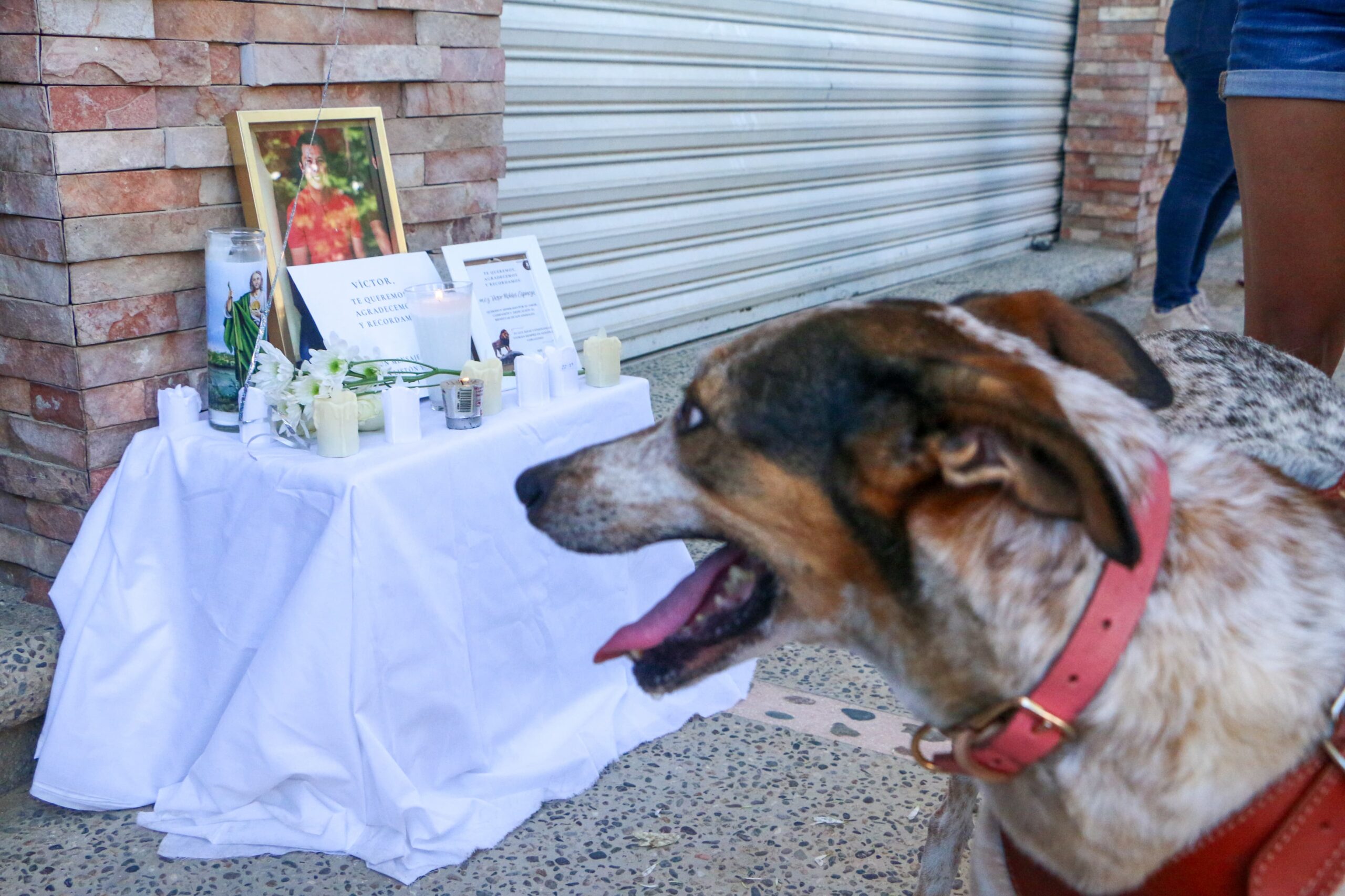 En honra fúnebre de médico veterinario claman al Estado garantizar la seguridad en Acapulco