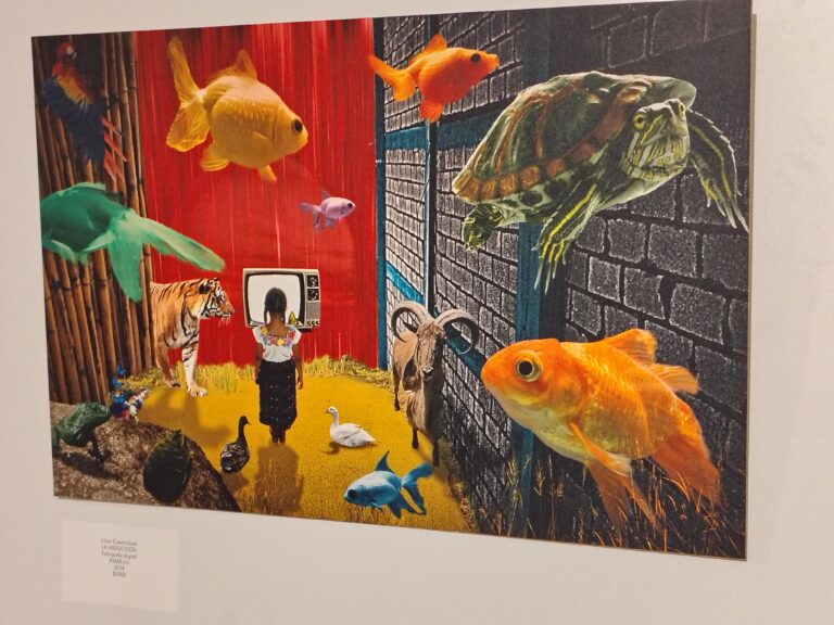 IMG_20241115_203255045_HDR