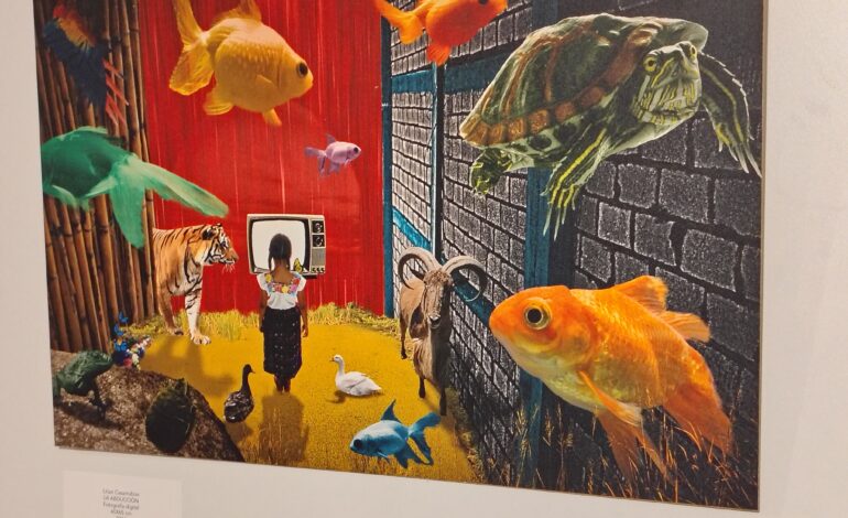 Ante la falta de exposiciones, artistas locales presentan «Algo» en Demina, Laboratorio de Artes