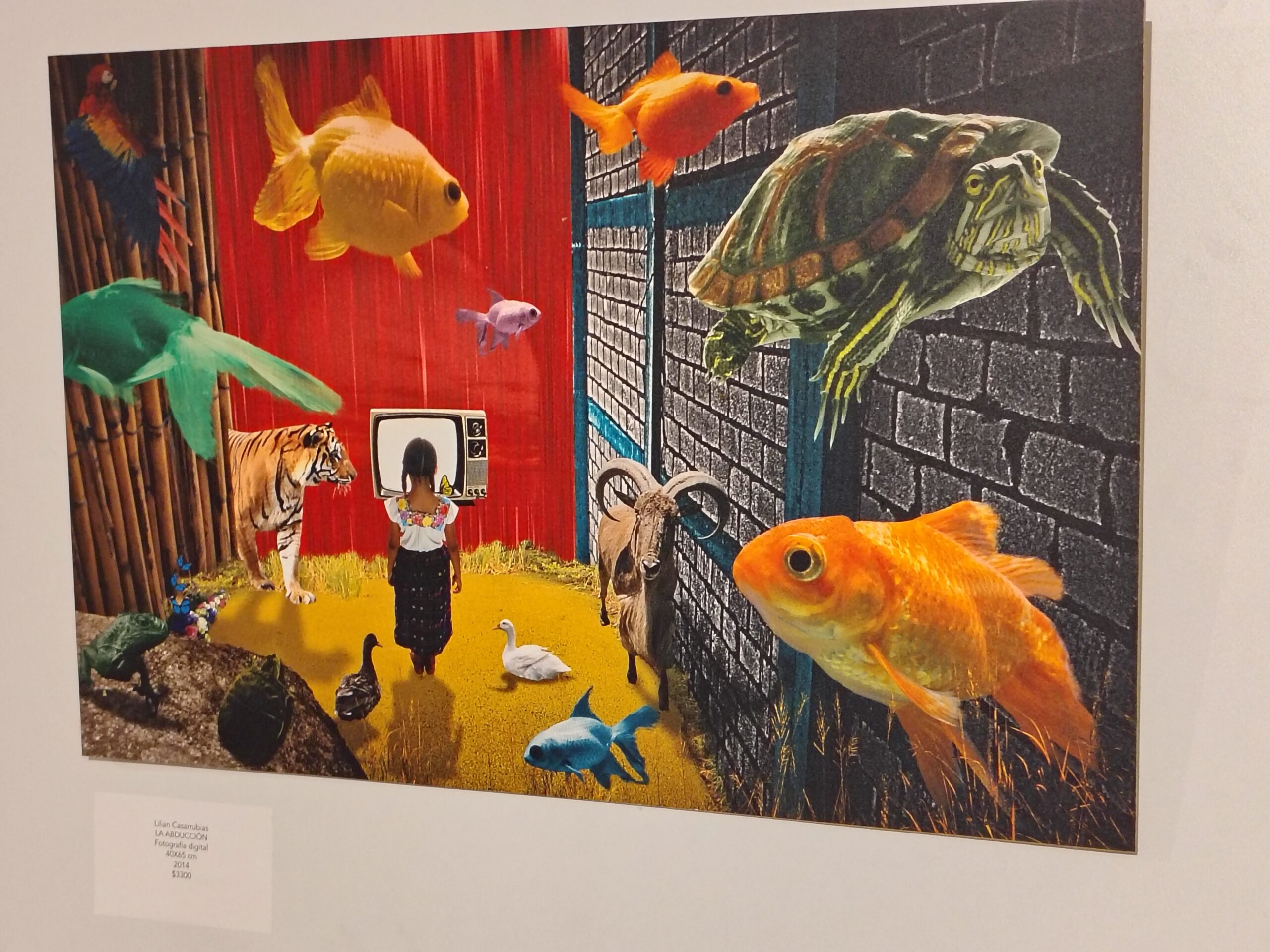 Ante la falta de exposiciones, artistas locales presentan «Algo» en Demina, Laboratorio de Artes