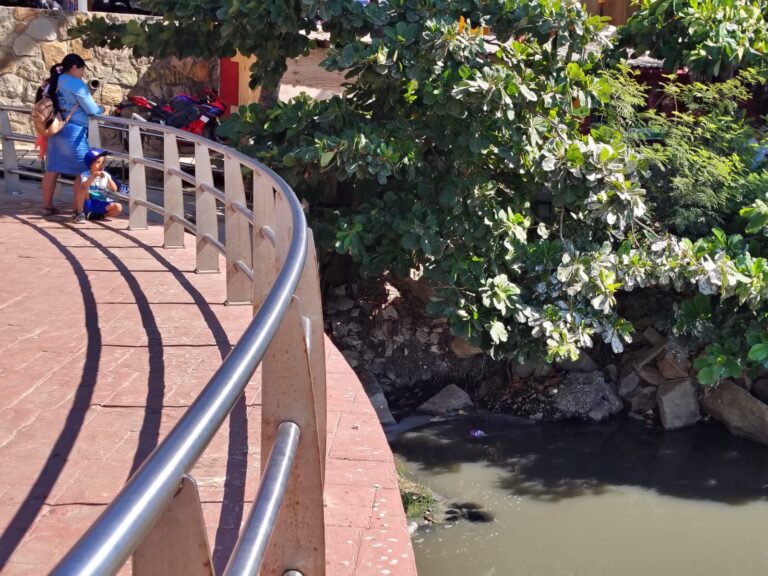 descarga de agua residual aguas negrasWhatsApp Image 2024-12-30 at 18.20.17 (1)