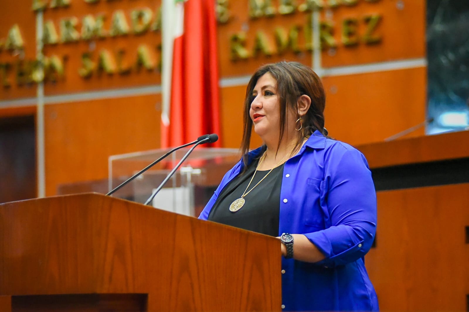 Presenta diputada reforma en materia de impugnabilidad para fortalecer facultades del Congreso del estado