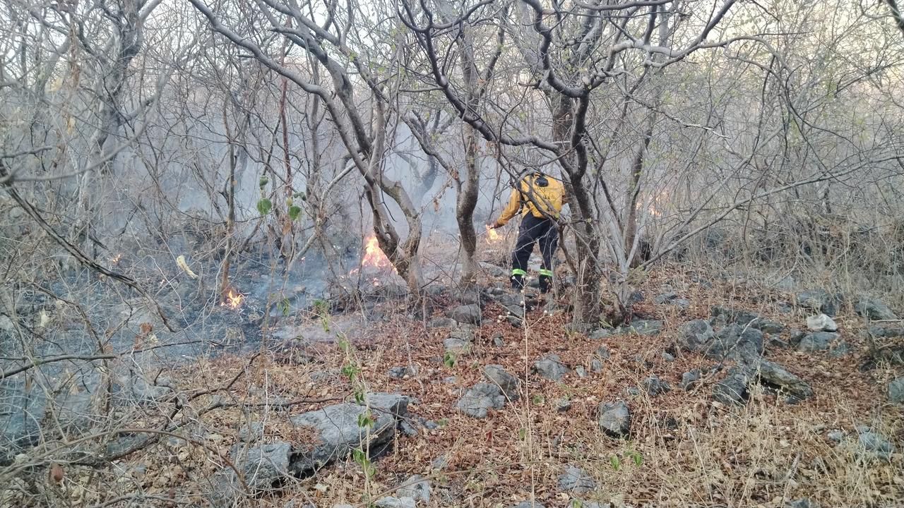 Incendio en el Cerro del Platanillo, Iguala, bajo control y sin riesgo para la población