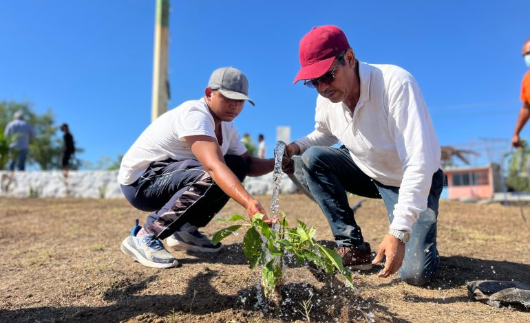 Reforesta Gobierno de Abelina López Rodríguez y sociedad civil parques en Ciudad Renacimiento