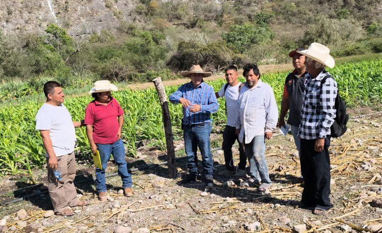 Sagadegro utiliza herramientas digitales para fortalecer la producción agroecológica