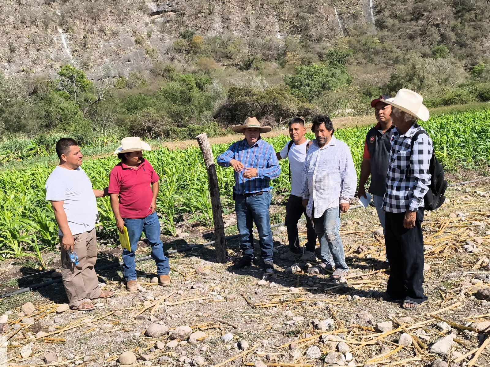 Sagadegro utiliza herramientas digitales para fortalecer la producción agroecológica