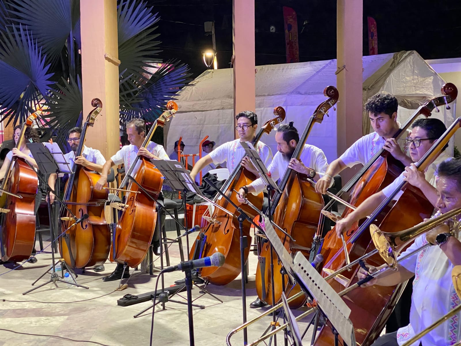 Ofrece la Orquesta Filarmónica de Acapulco Concierto Especial en Tecpan de Galeana