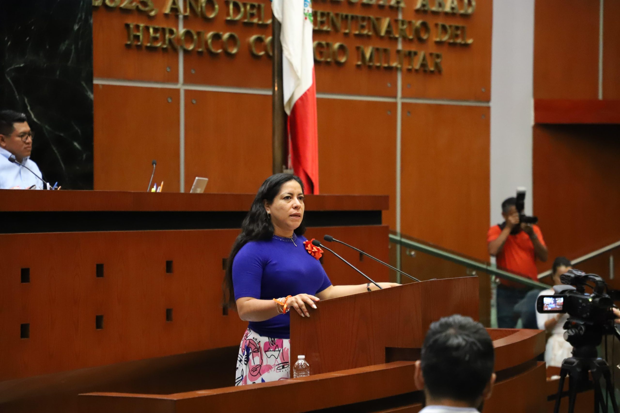 Propone diputada exhorto a Capacho para la reparación y desazolve de drenaje en barranca Alpuyeca