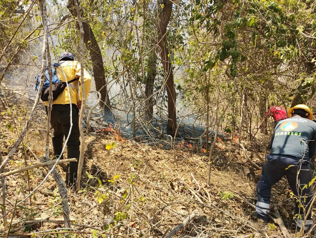 Autoridades continúan en la sofocación para el control del incendio en Cerro Grande, en el municipio de Iguala
