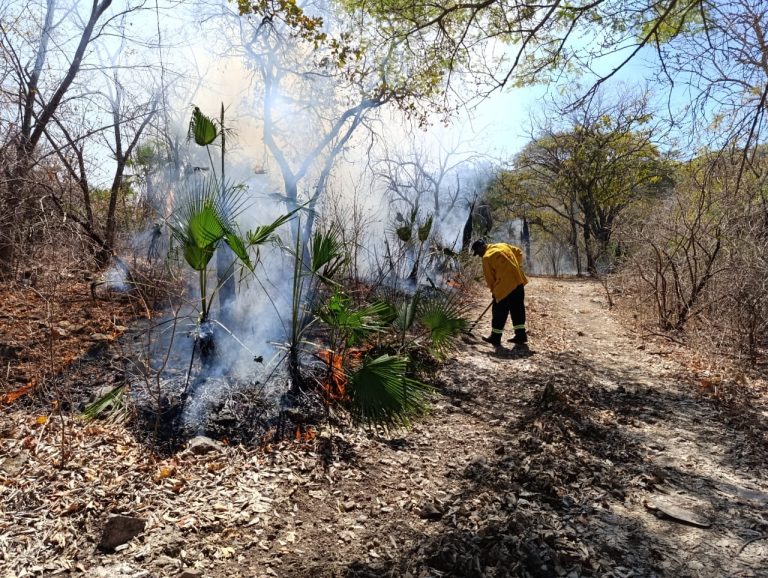 incendios forestales guerrero1
