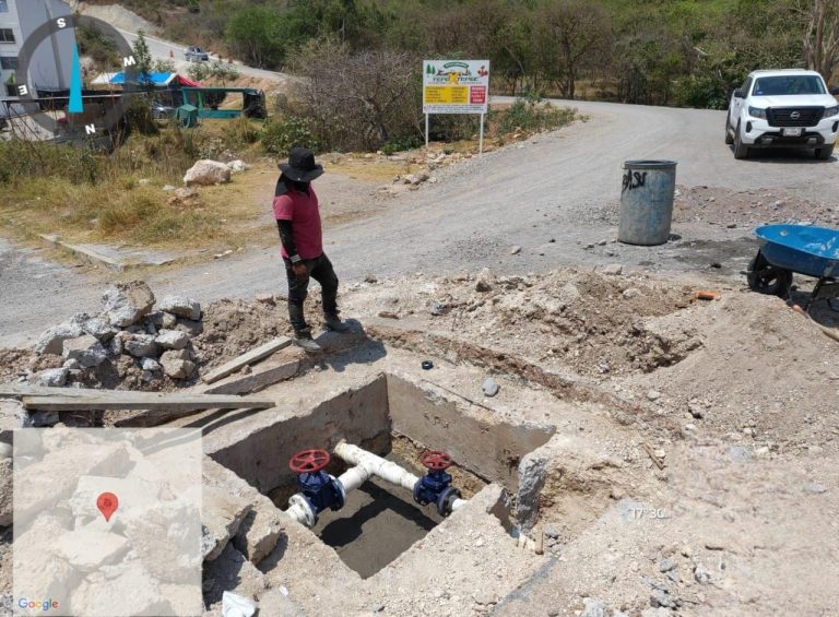 dotar de agua a Zinnia5