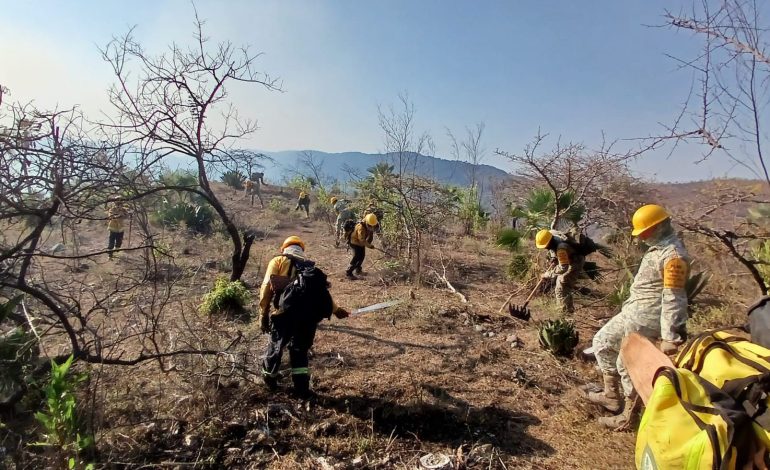 El incendio del cerro de Machohua presenta un 70 por ciento de control: Protección Civil