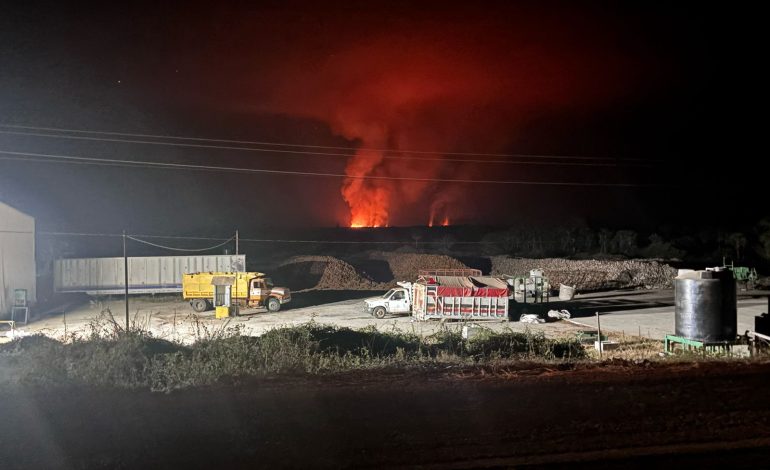 Monitorean once incendios forestales en Guerrero; uno está activo: Protección Civil