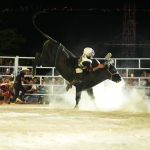 Jolgorio Acapulqueño - 8