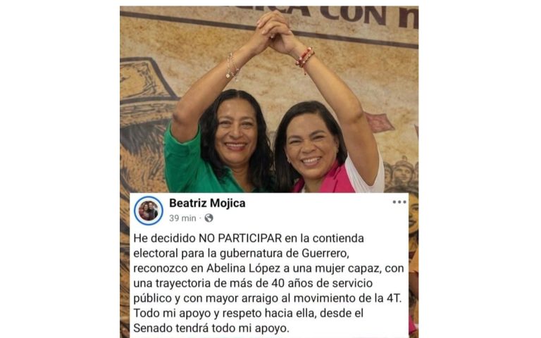 abelina - beatriz mujica