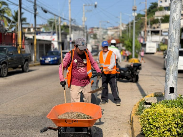 despliegue avenida adolfo ruiz cortines2
