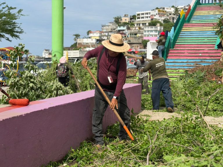 rehabilitación integral del parque de La Iguana 3